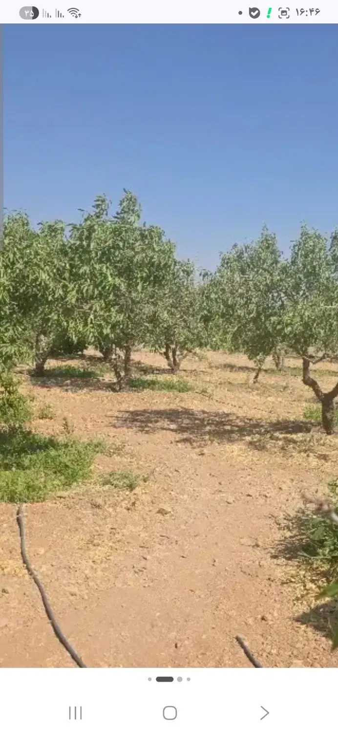 زمین کشاورزی پرند