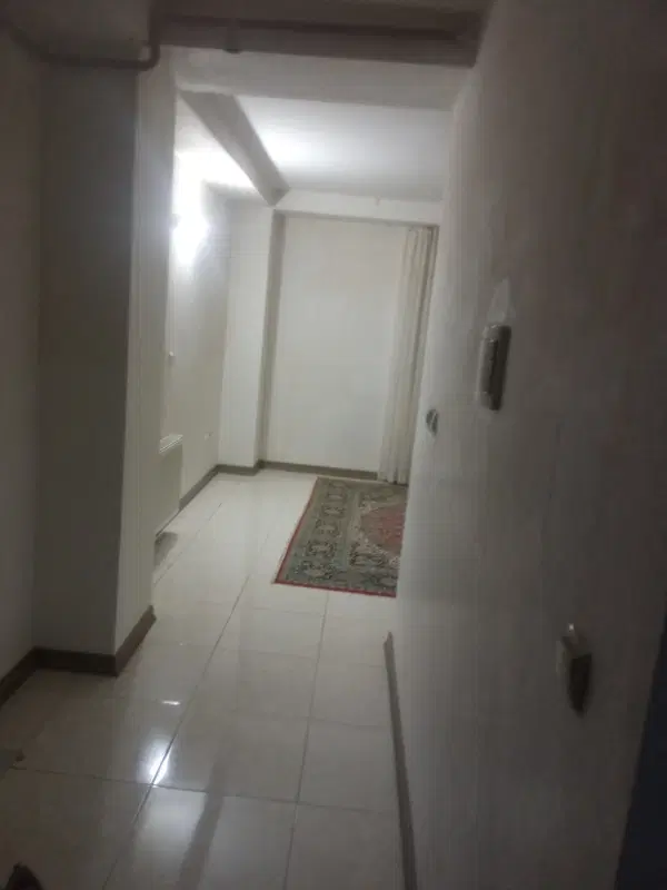 همخونه خانم