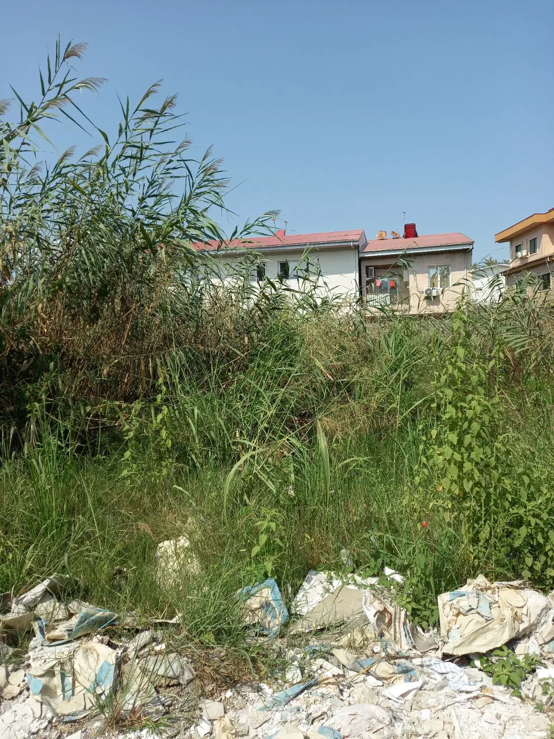 245 متر زمین مسکونی  با بر ۱۰ متر داخل شهر