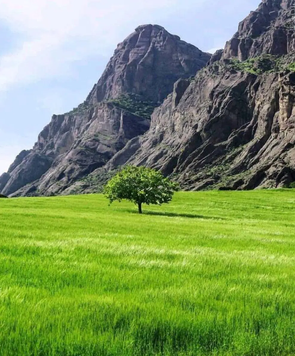 باغ ویلا رایگان نزدیک شهر