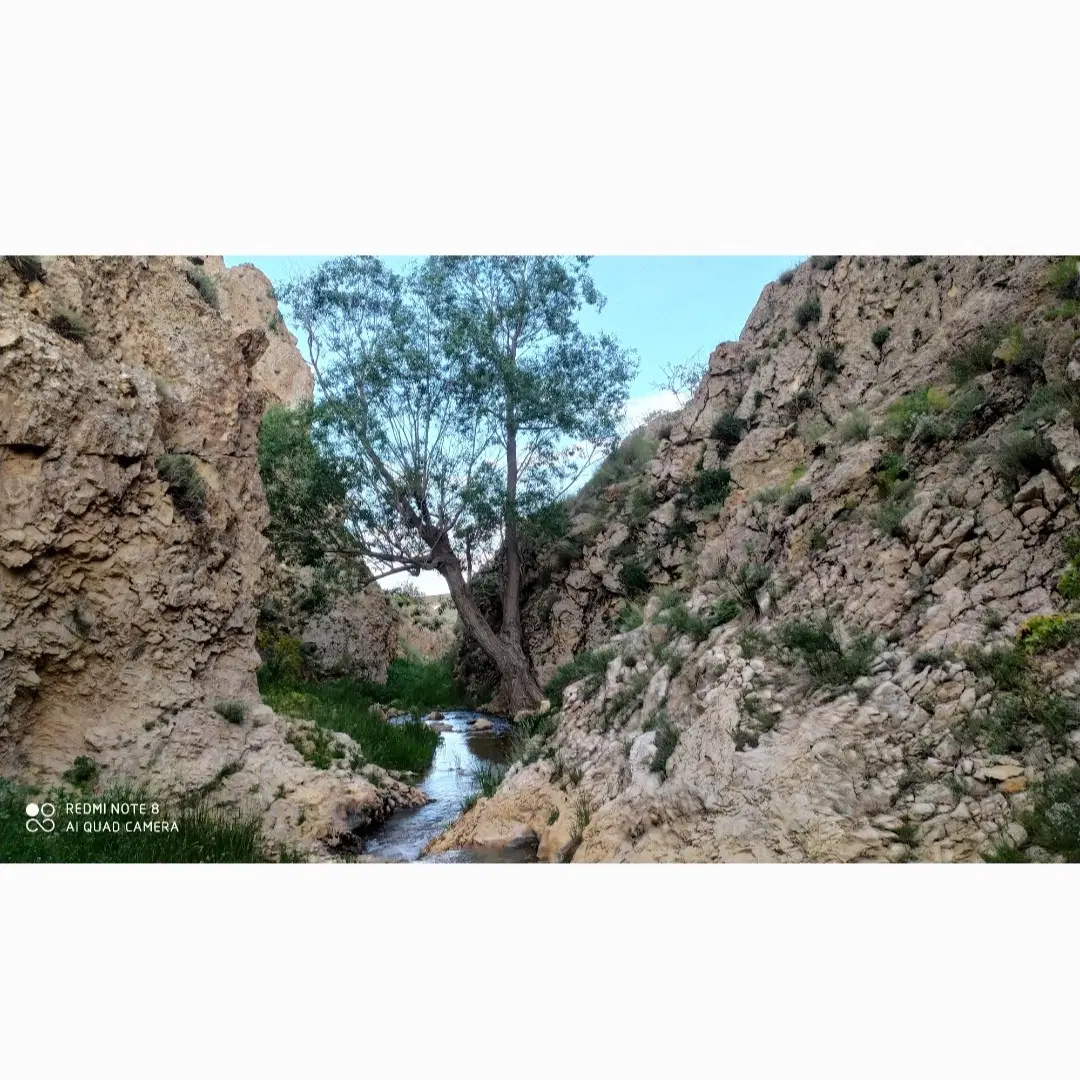 زمین مسکونی روستای مرصع