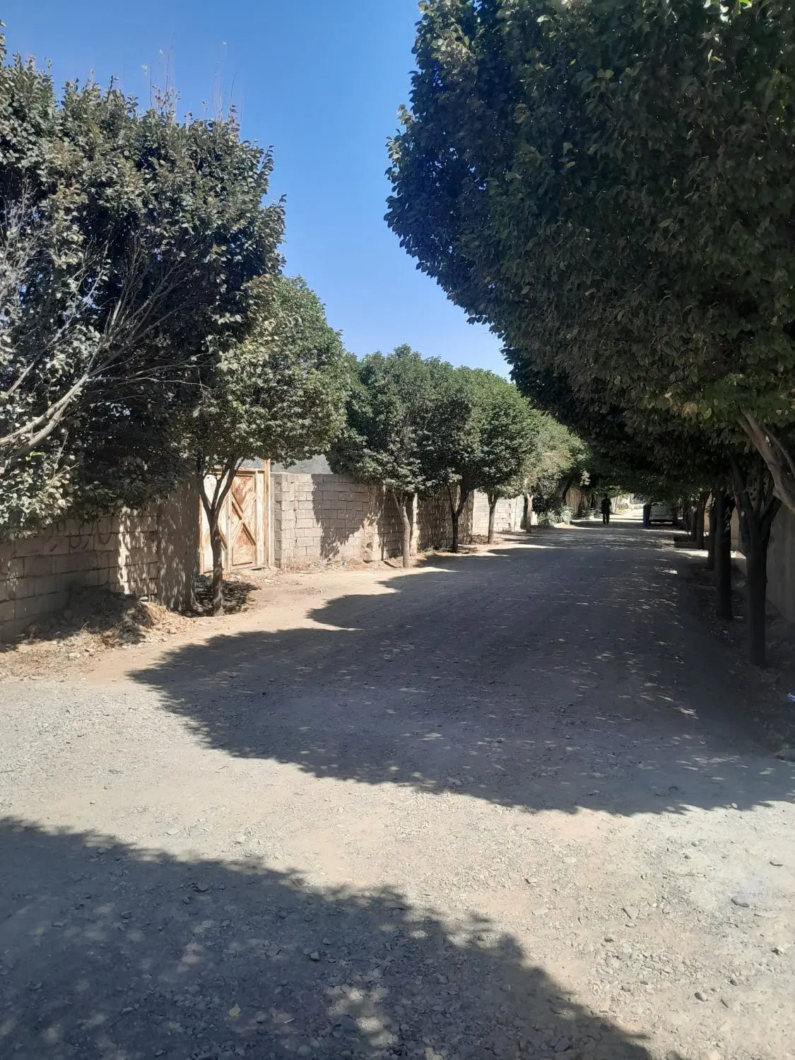 فروش زمین ۲۰۰ متری چهارباغ کوچه اداره گاز