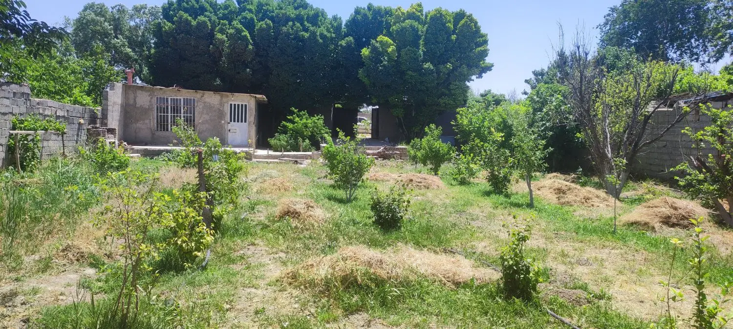 فروش باغچه1000متری