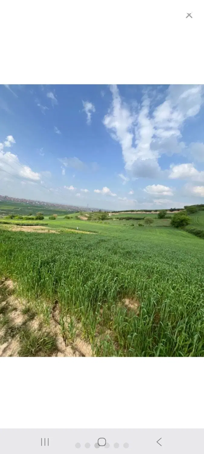 زمین باغی خوش متراژ اوزینه