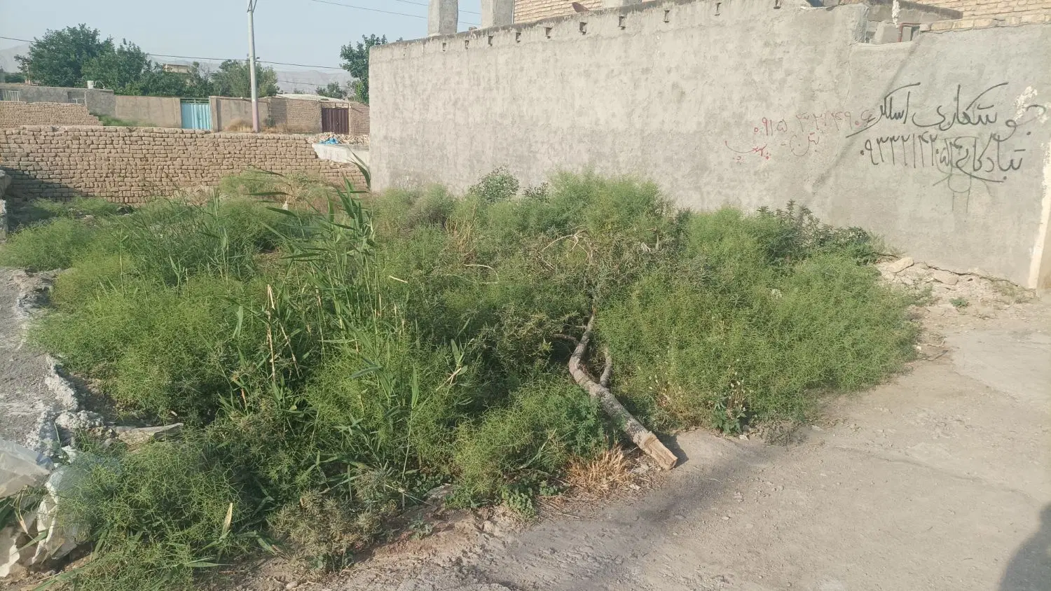یک قطعه زمین در روستای کاملی