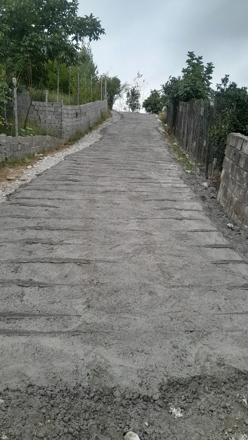 زمین ویو جنگلی