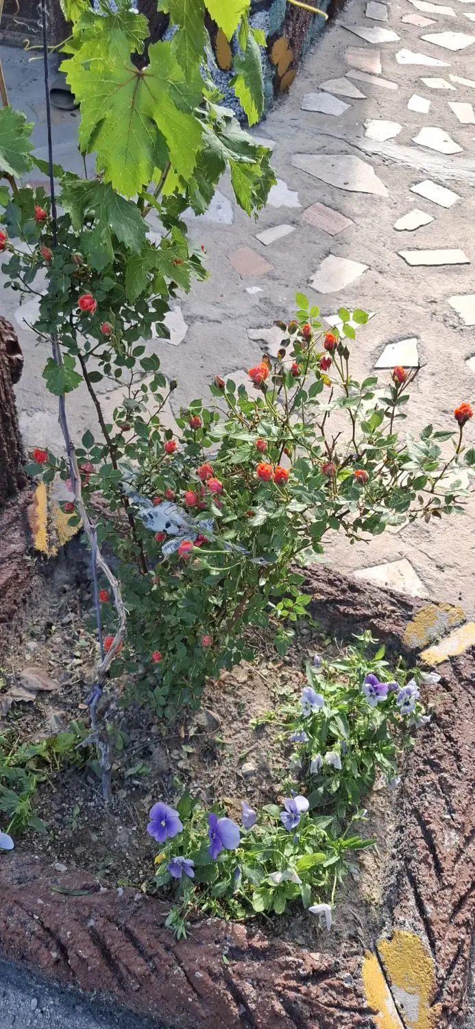 فروش خانه باغ ویلایی در آذرشهر
