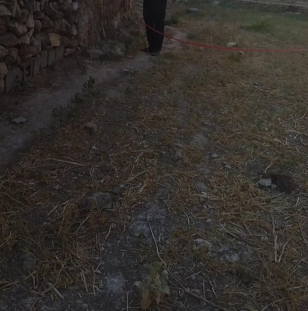 فروش زمین