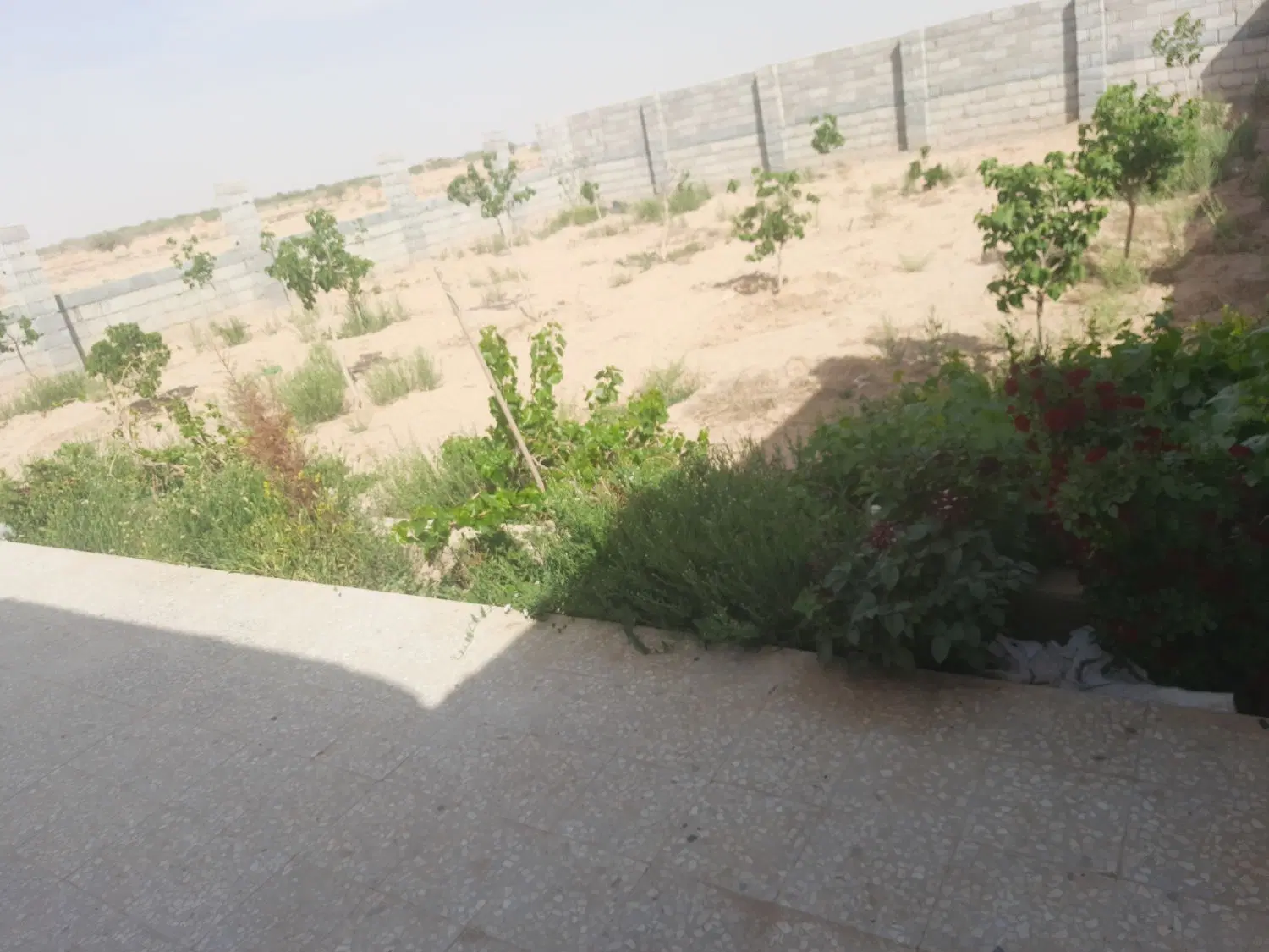 باغ آماده