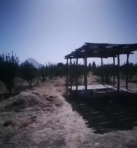 باغ