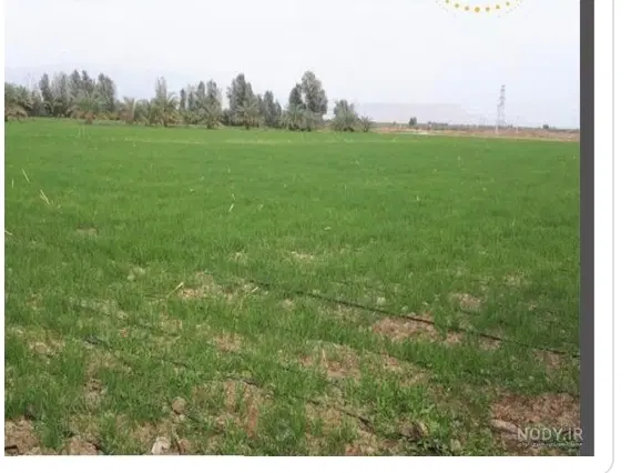اجاره زمین کشاورزی