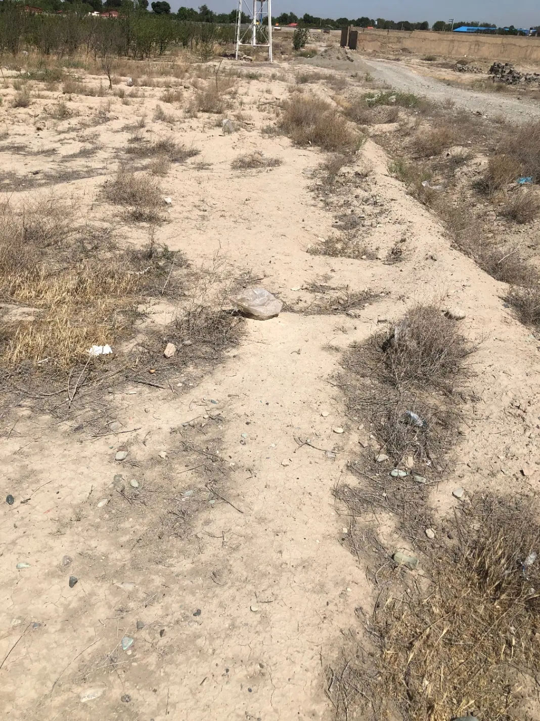 ۷۶۷ متر زمین باغی در اسفند آباد ملارد فوری فروشی