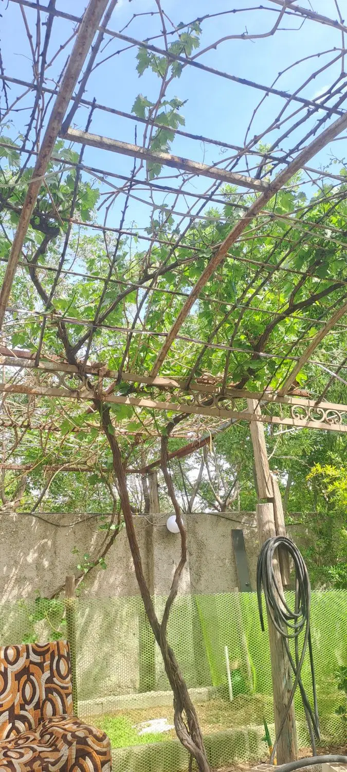 باغ‌ویلا‌۴۰۰متری