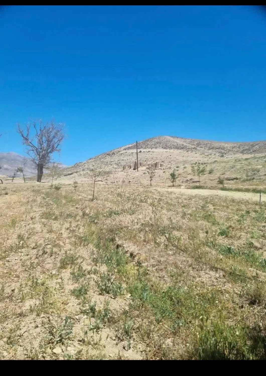 1000 متر زمین آبسرد