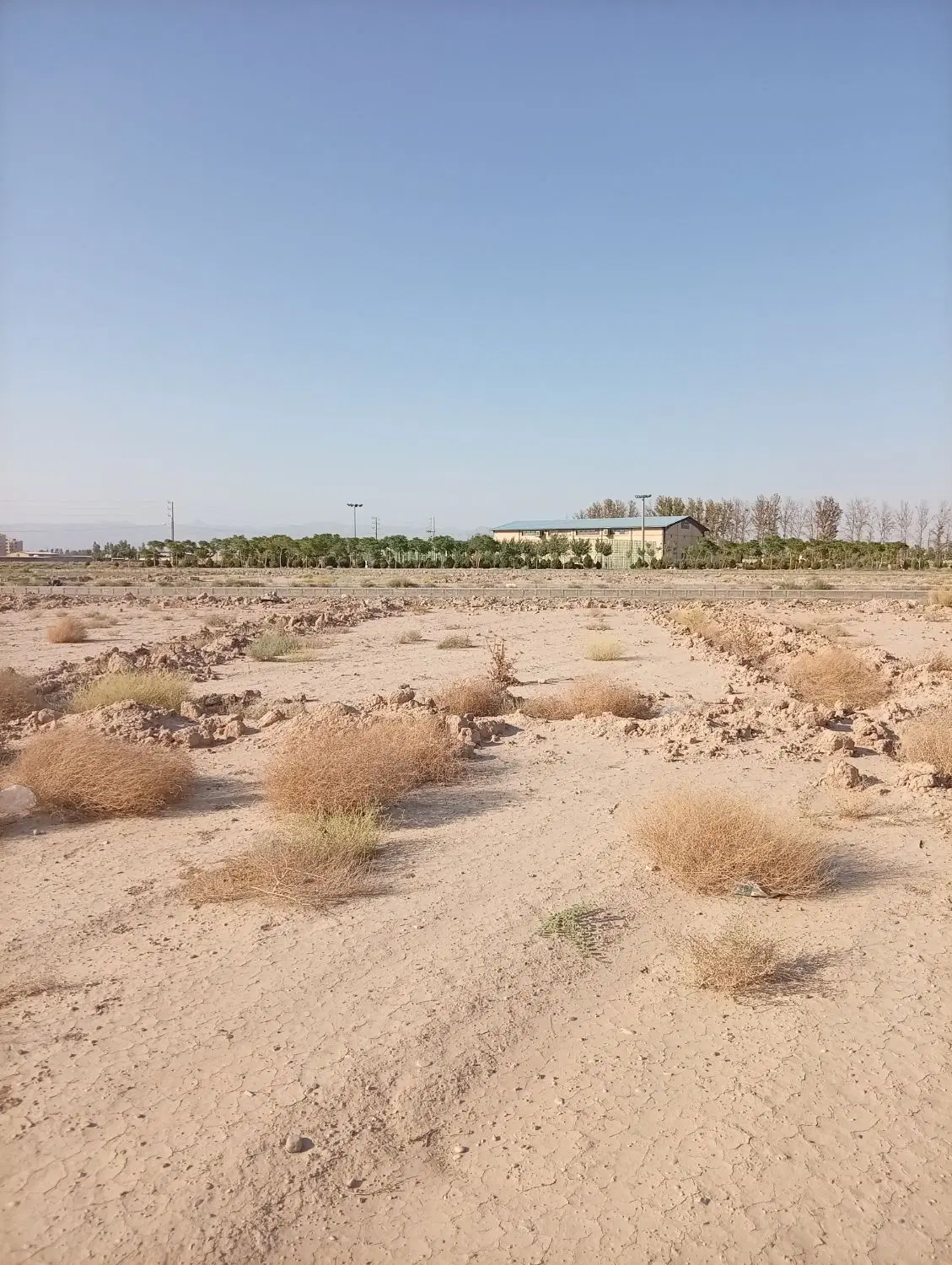 فروش یک سهم از ایران زمین ۲