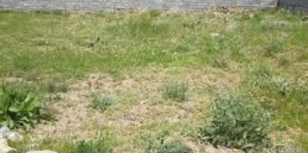 فروش زمین سربیژن