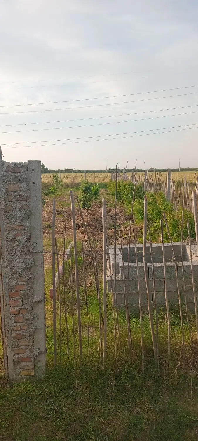 زمین کشاورزی خط گاز کردکوی