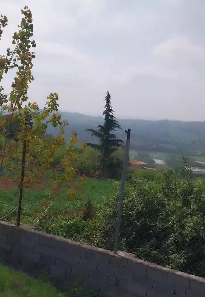 باغ پرتقال مازندران
