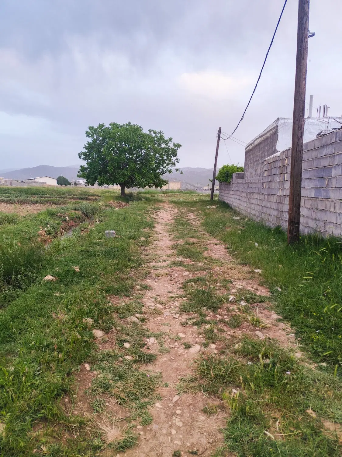 زمین نرگاه