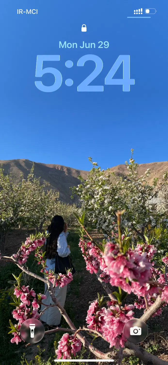 زمین. باغچه. فروشی