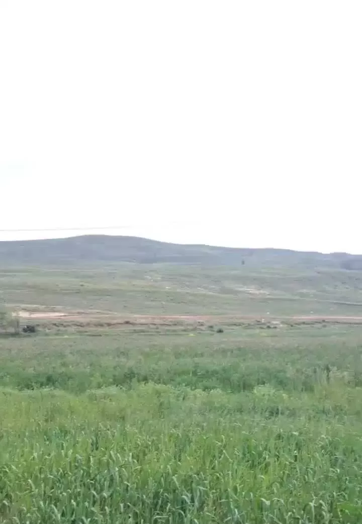 زمین زراعی ۱۰۰۰۰مترمربع