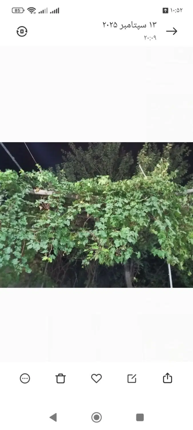 منزل مسکونی ویلایی در بلوار مدرس