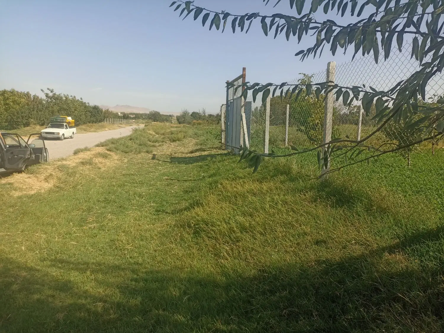 باغ صفا جای بکر
