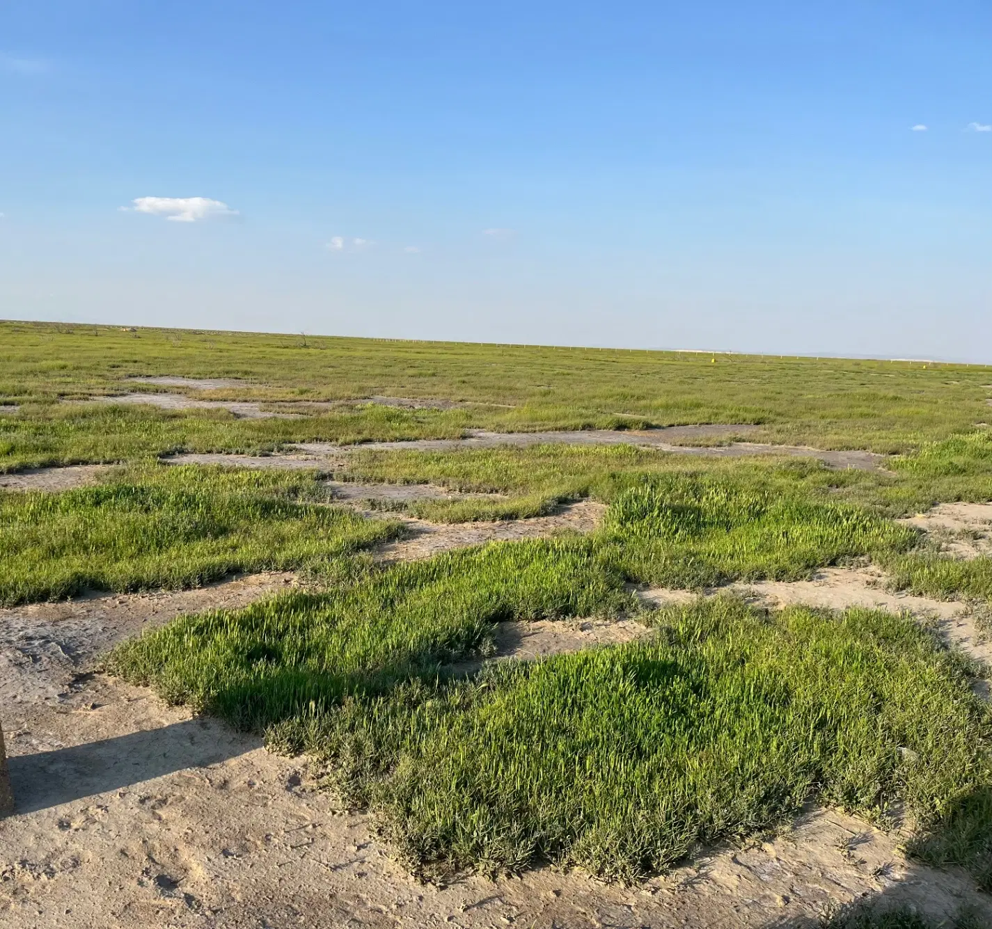زمین خالی درروستای عربلو کوی ساحل