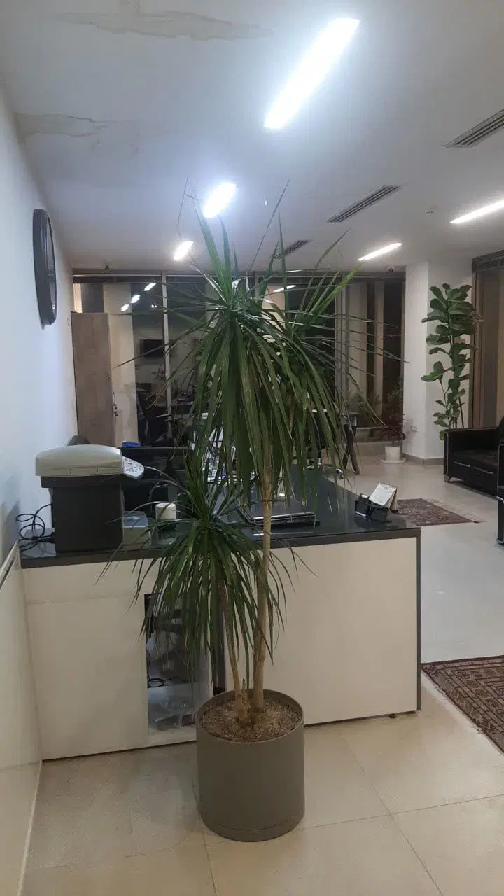 یک واحد مسکونی برای اجاره