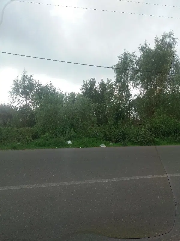 حسن رود ۴۰۰ متر بعداز پارک جنگلی