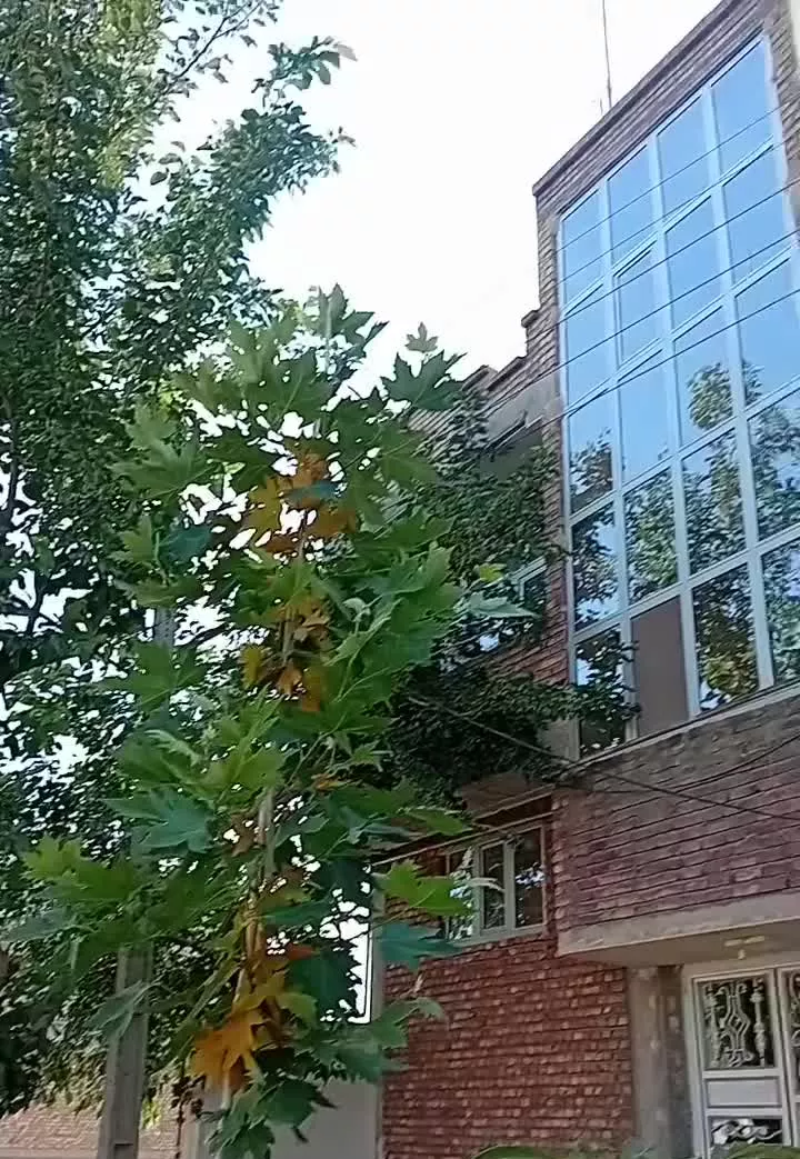 ساختمان واقع در روستای قاریاغدی