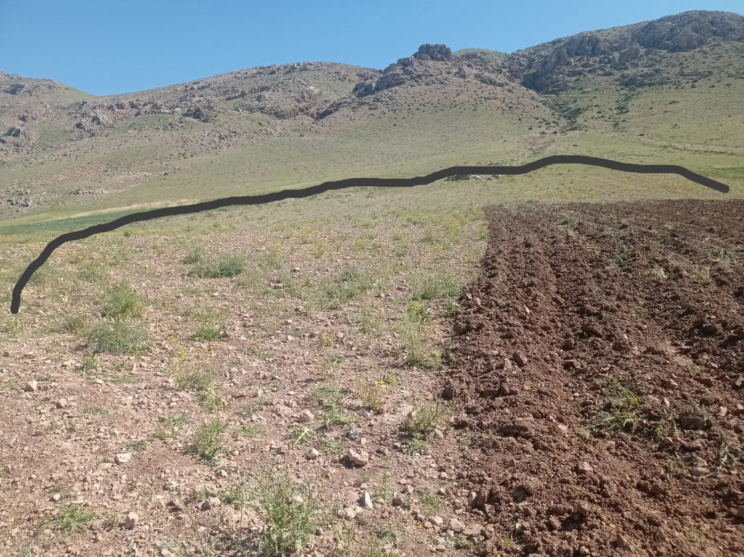 زمین تجاری