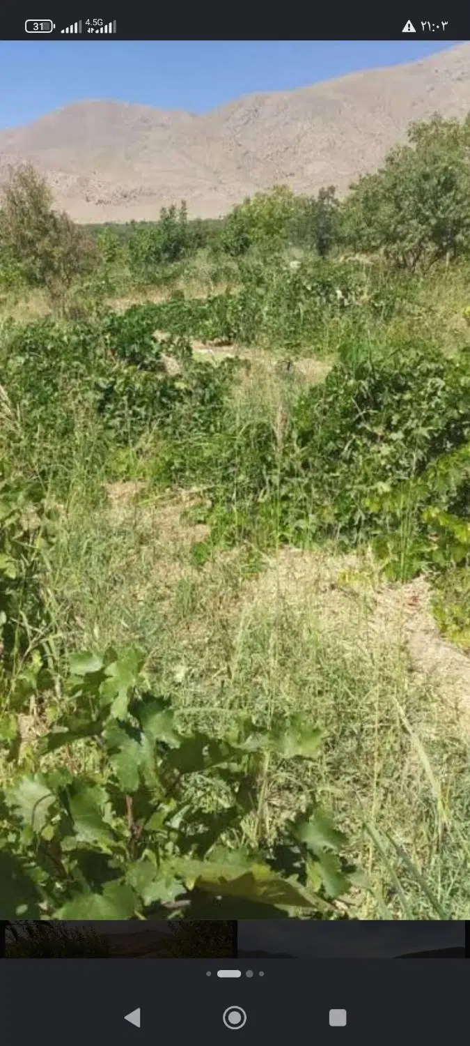 باغ قلعه خالصه