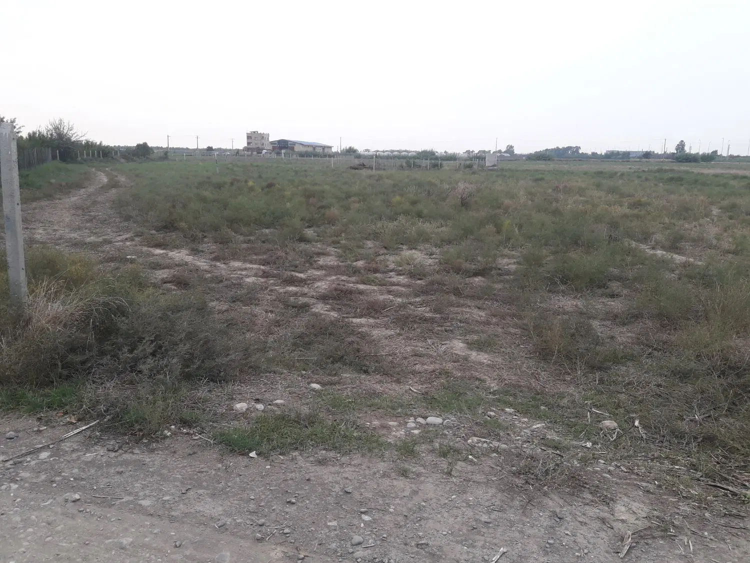 زمین کشاورزی صنعتی