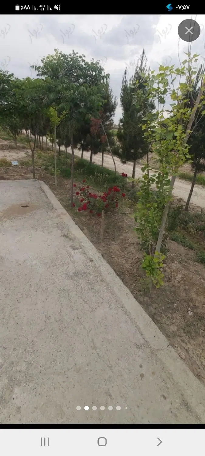 باغچه در شهرک علی اباد طپانچه اسلامشهر