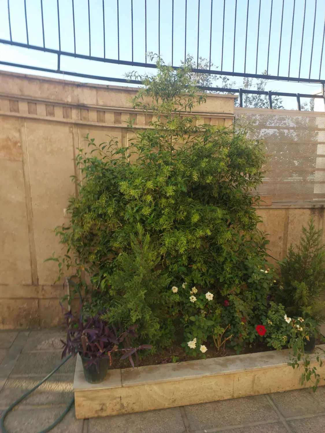 اجاره منزل مسکونی
