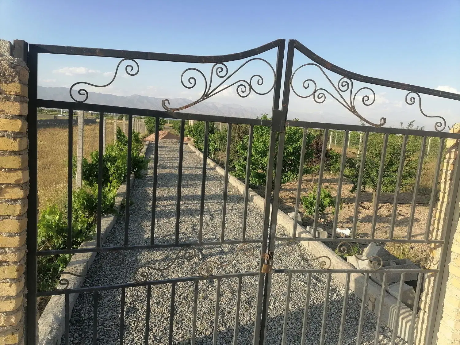 باغچه هزار متری در تنکمان