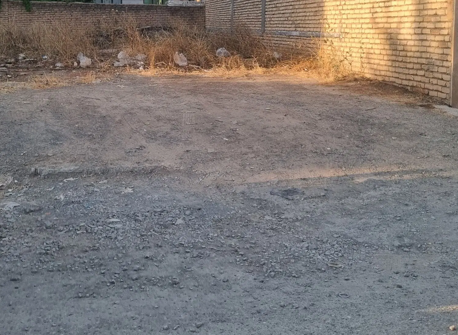 زمین تک برگ سند