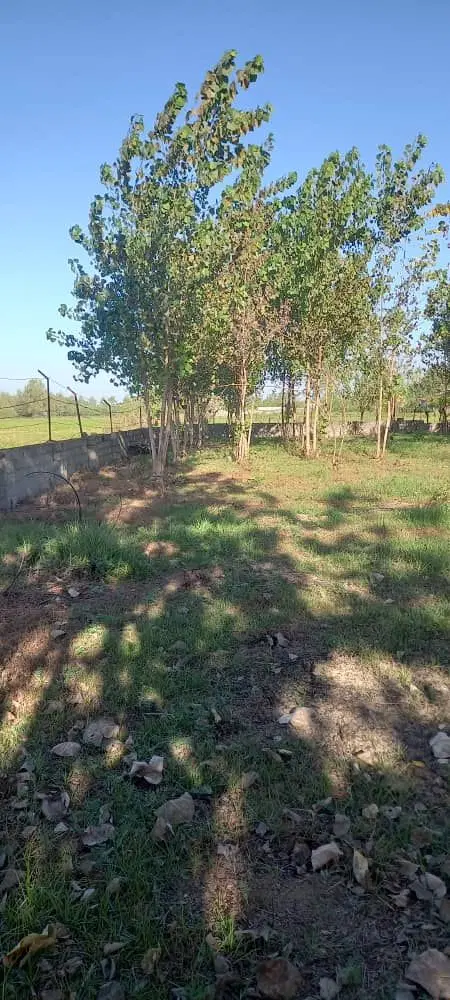 فروش و مشارکت