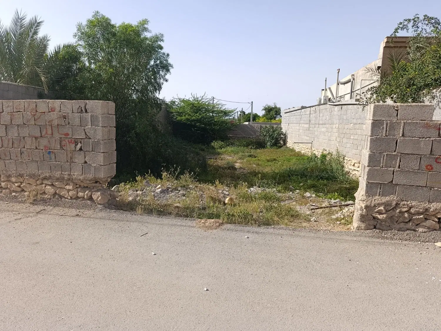 زمین گورک پهلوان کشی