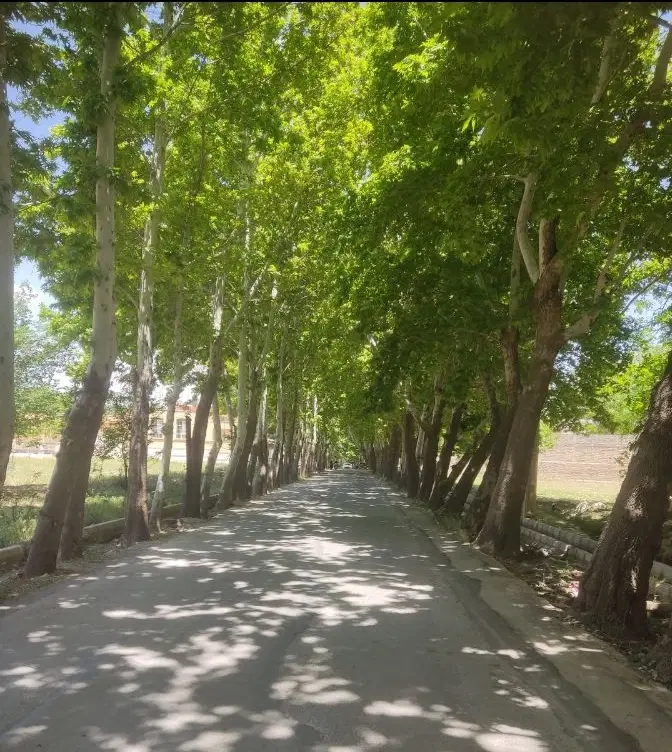 زمین باغ شهری