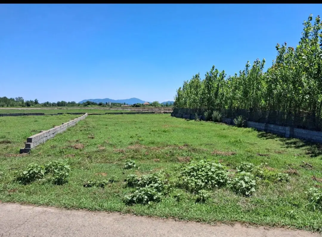 زمین مسکونی روستای تهام با پروانه