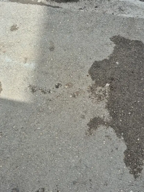 ۴۰۰ متر زمین ملاباشی