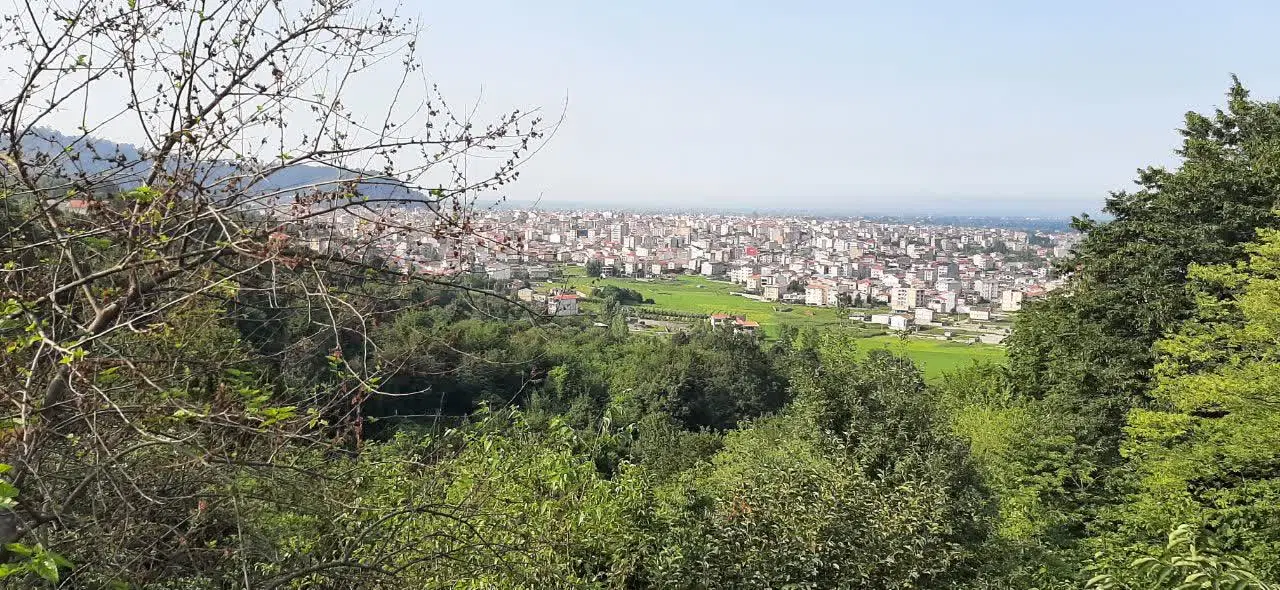فروش زمین مسکونی در شمال کشور
