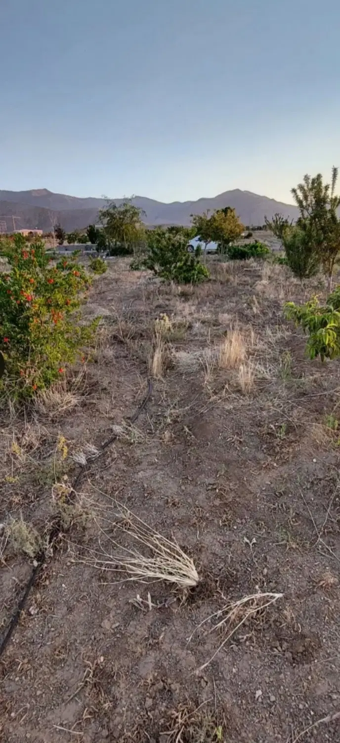 باغ ۱۴۱۶ متری در رستم کلا گرگان آماده سرمایه‌گذاری