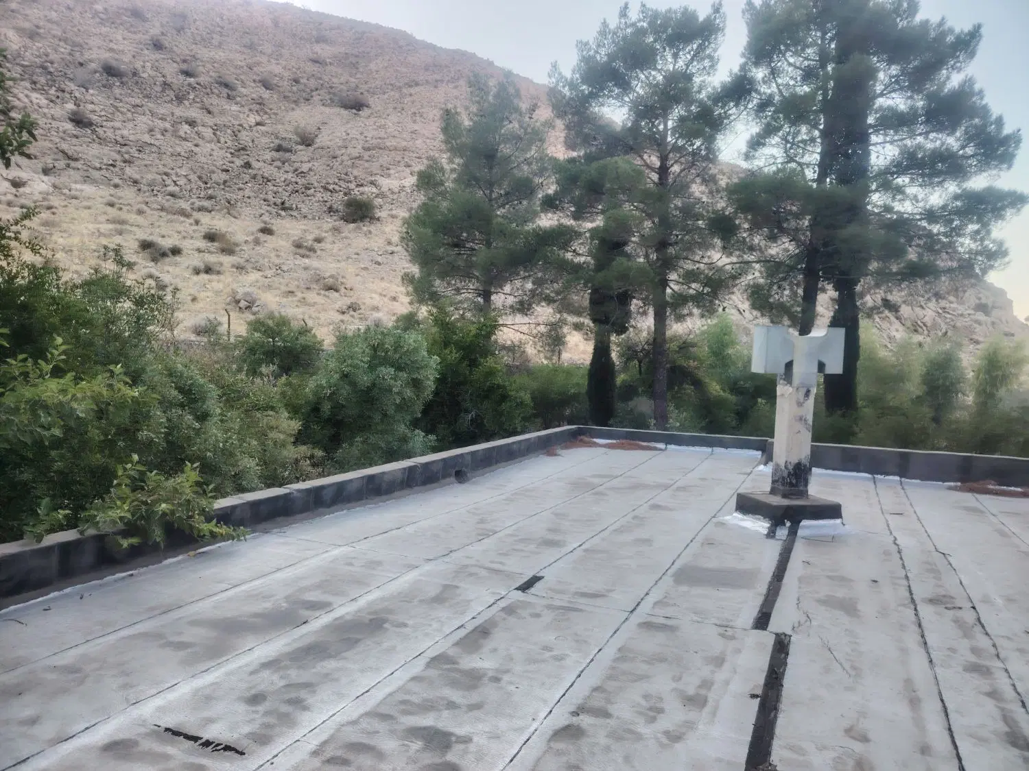 باغ