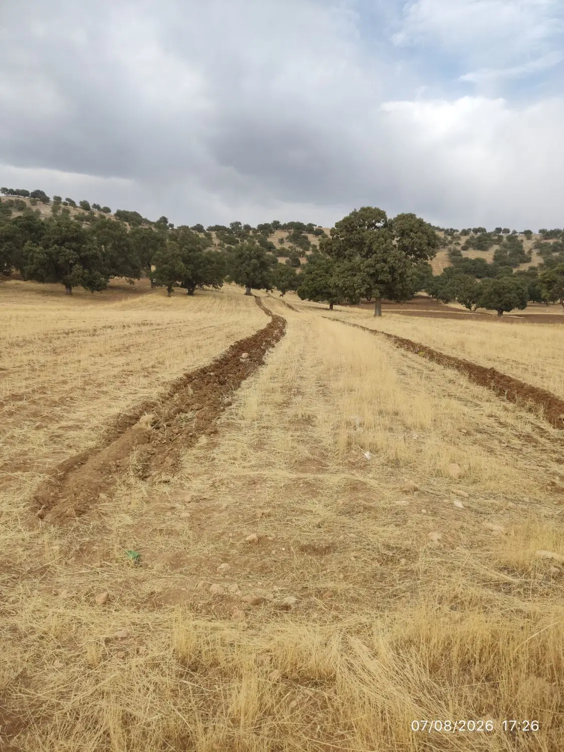 زمین روستای فیروزاباد یاسوج