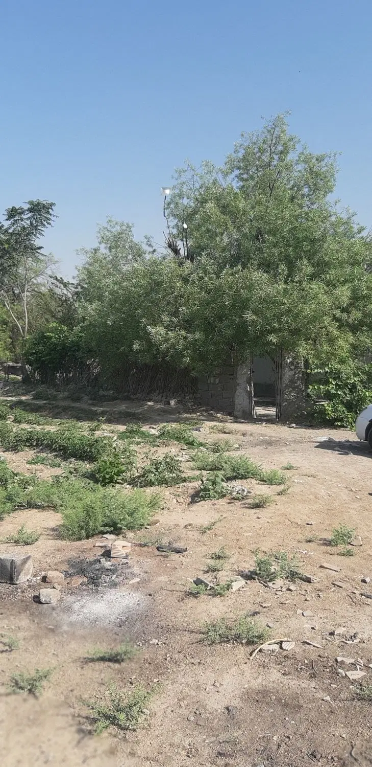 اجاره زمین کشاورزی
