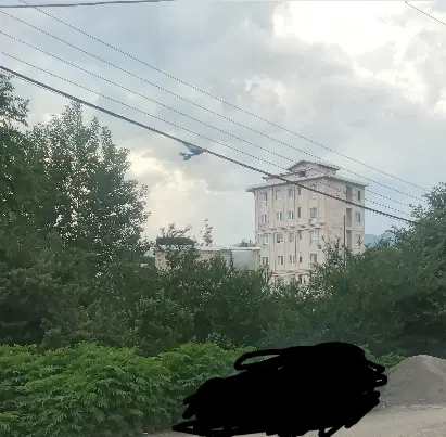 همخونه بدونه حاشیه