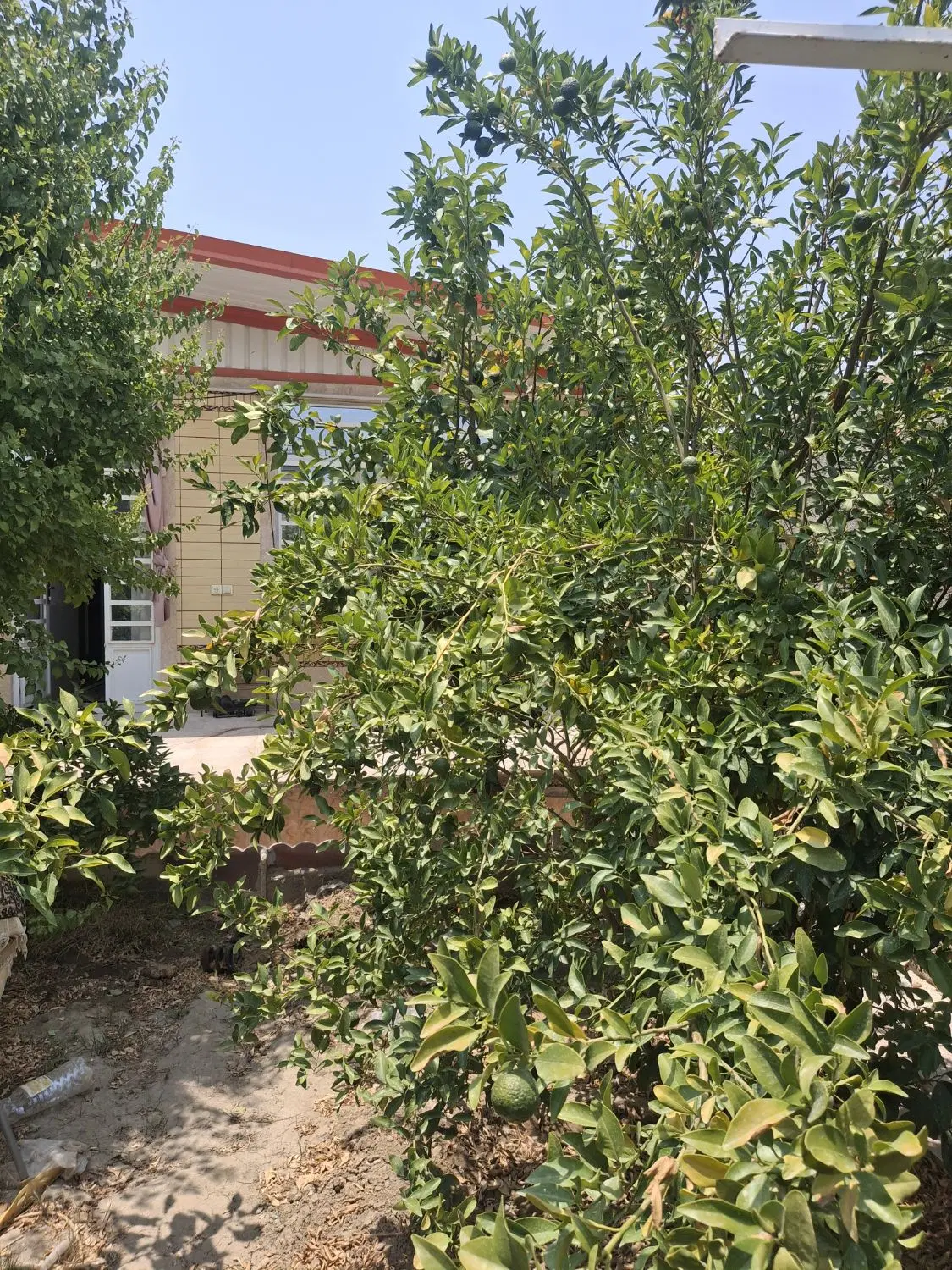 فروش خانه ویلایی